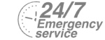 24/7 Emergency Service Pest Control in Golders Green, Hampstead Garden Suburb, NW11. Call Now! 020 8166 9746