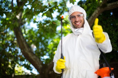 Bug Control, Pest Control in Golders Green, Hampstead Garden Suburb, NW11. Call Now 020 8166 9746